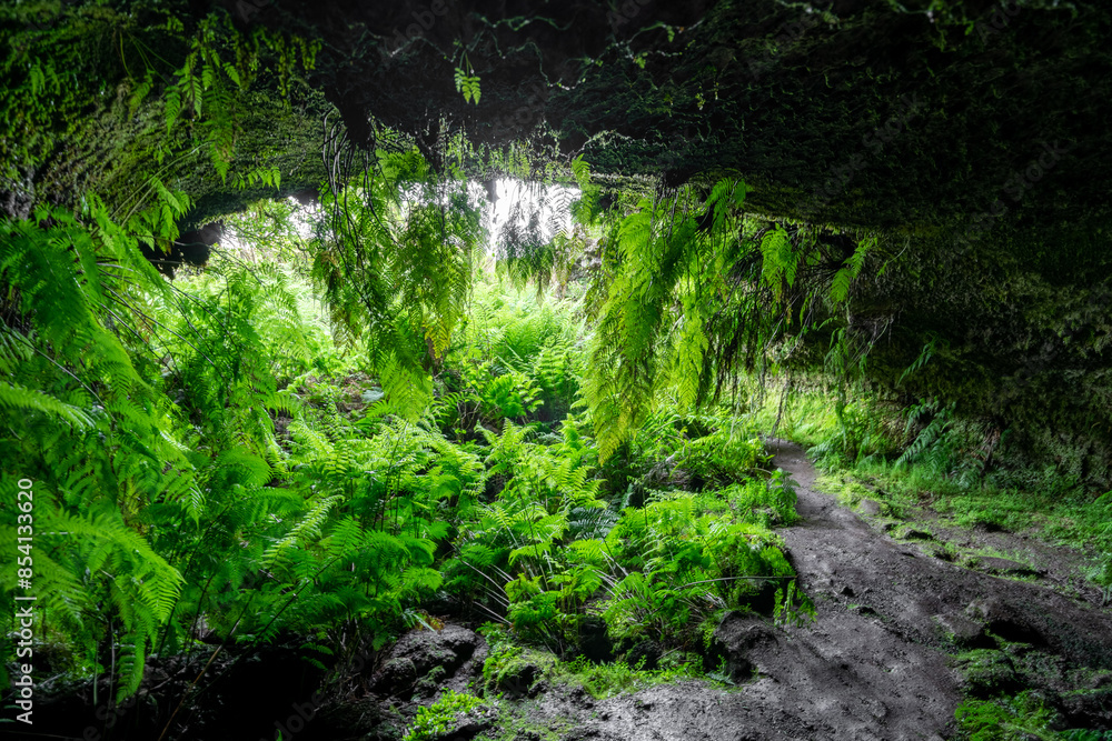 Interior of the frei Matias cave, lava cone, island of Pico, archipelago of the Azores.