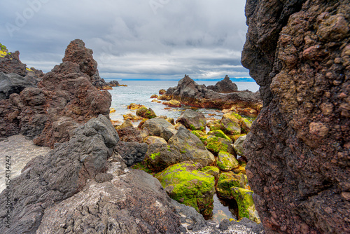 Area of natural pools with color contrasts in the parish of Saoo Roque on the island of Pico in the Azores archipelago.