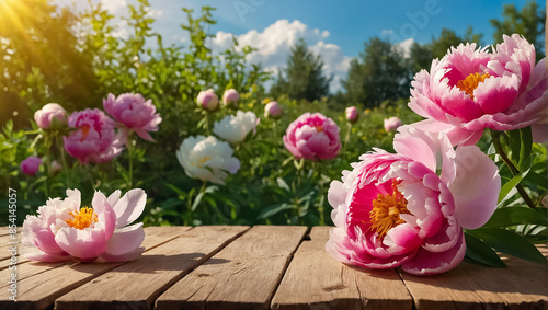 Wooden board, beautiful flowers in summer in nature