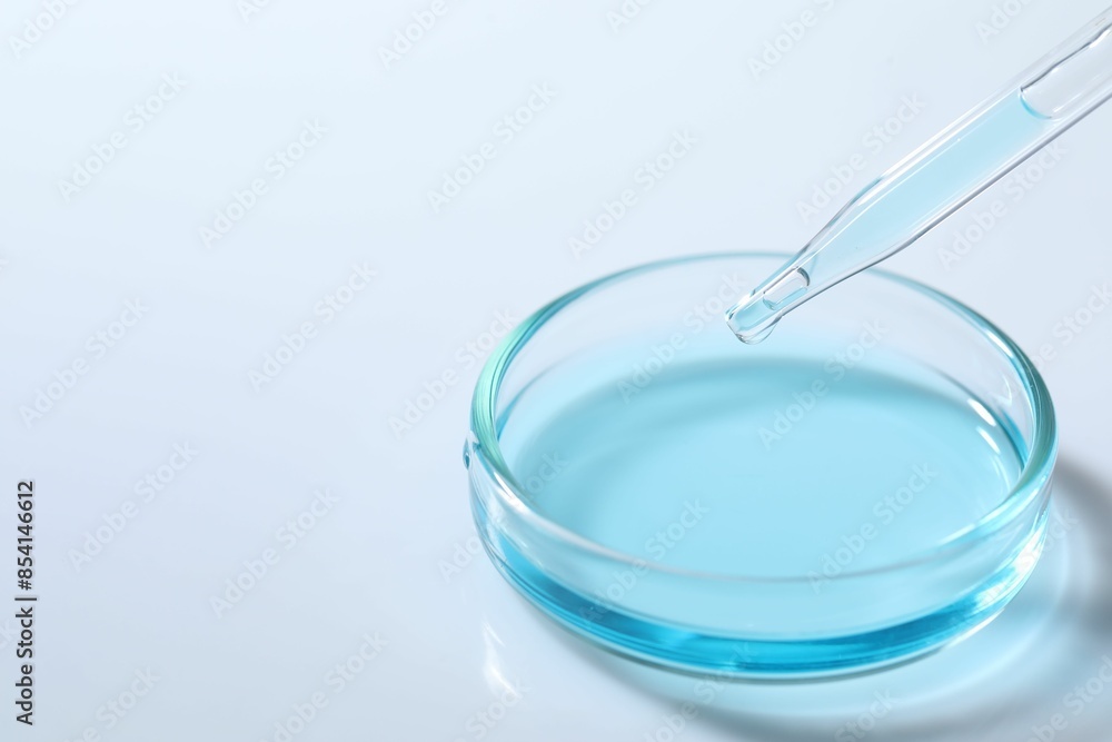 Dripping liquid from pipette into petri dish at white table, closeup. Space for text Dripping liquid from pipette into petri dish at white table, closeup. Space for text