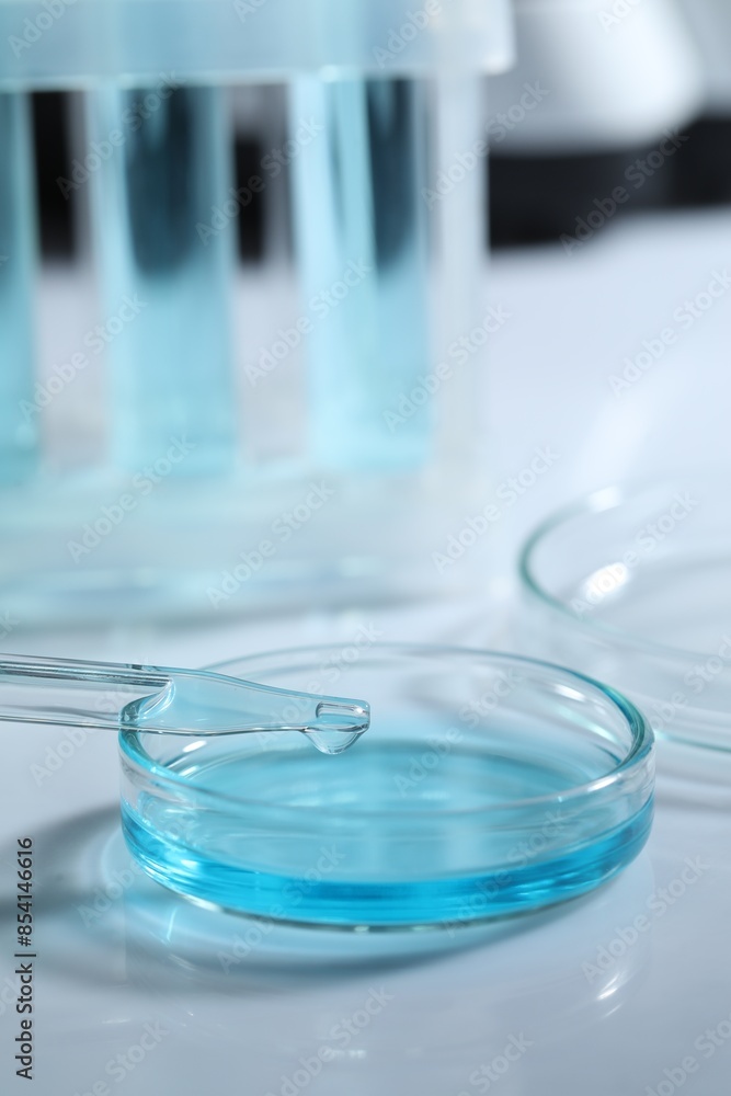 Dripping liquid from pipette into petri dish at white table, closeup Dripping liquid from pipette into petri dish at white table, closeup
