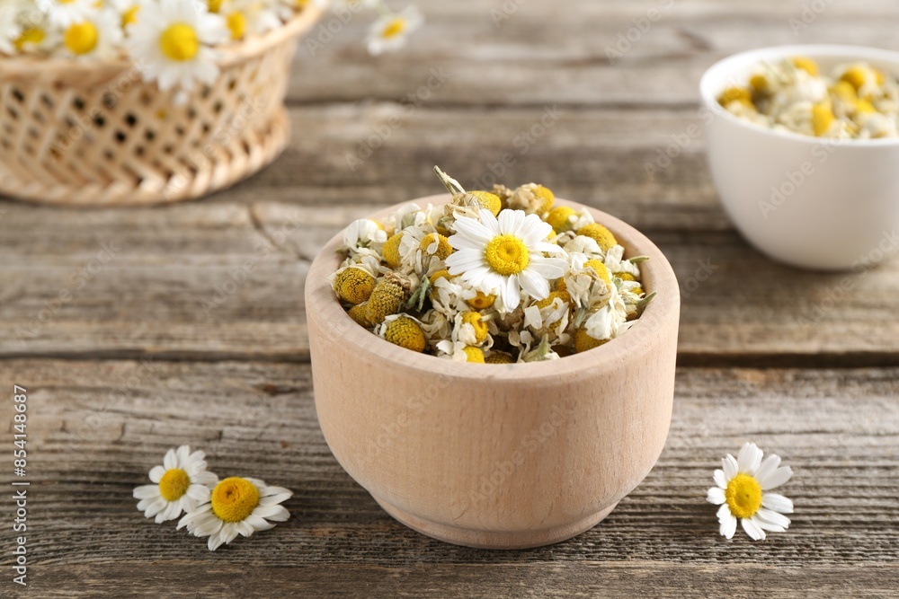 Dry and fresh chamomile flowers on wooden table Dry and fresh chamomile flowers on wooden table