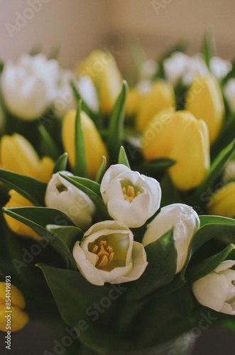 Wallpaper Mural White beautiful tulips with blossoming buds at home for women's international day Torontodigital.ca