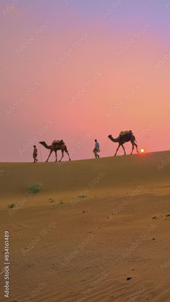Indian cameleers (camel driver) bedouin with camels in sand dunes of Thar desert on sunset. Caravan in Rajasthan travel tourism background safari adventure. Jaisalmer, Rajasthan, India Indian cameleers (camel driver) bedouin with camels in sand dunes of Thar desert on sunset. Caravan in Rajasthan travel tourism background safari adventure. Jaisalmer, Rajasthan, India