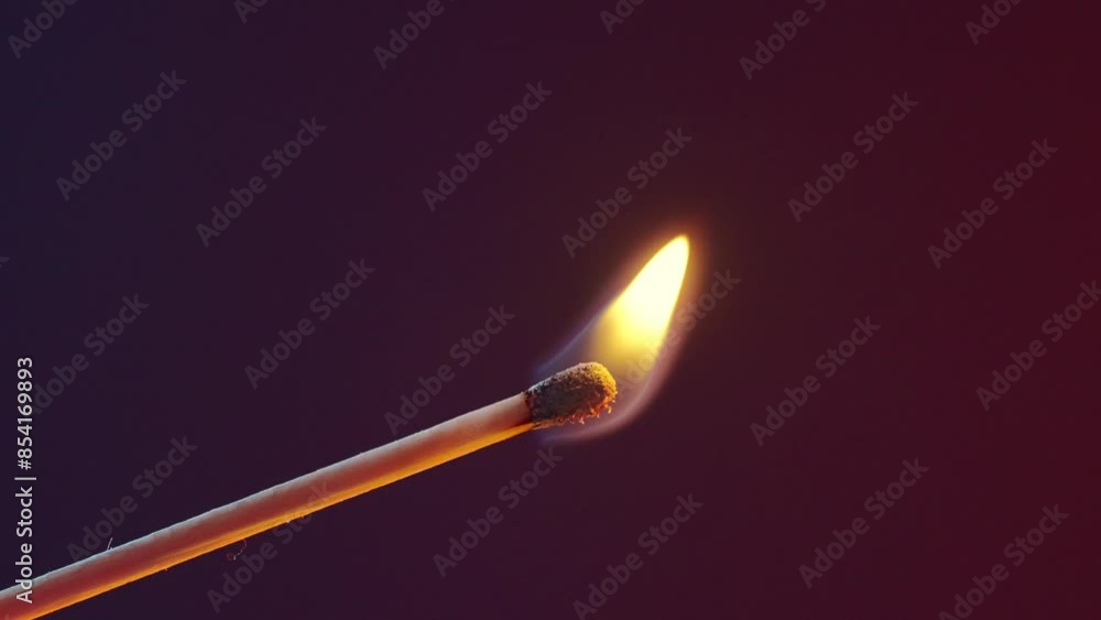 White smoke from an extinguished match on dark background White smoke from an extinguished match on dark background