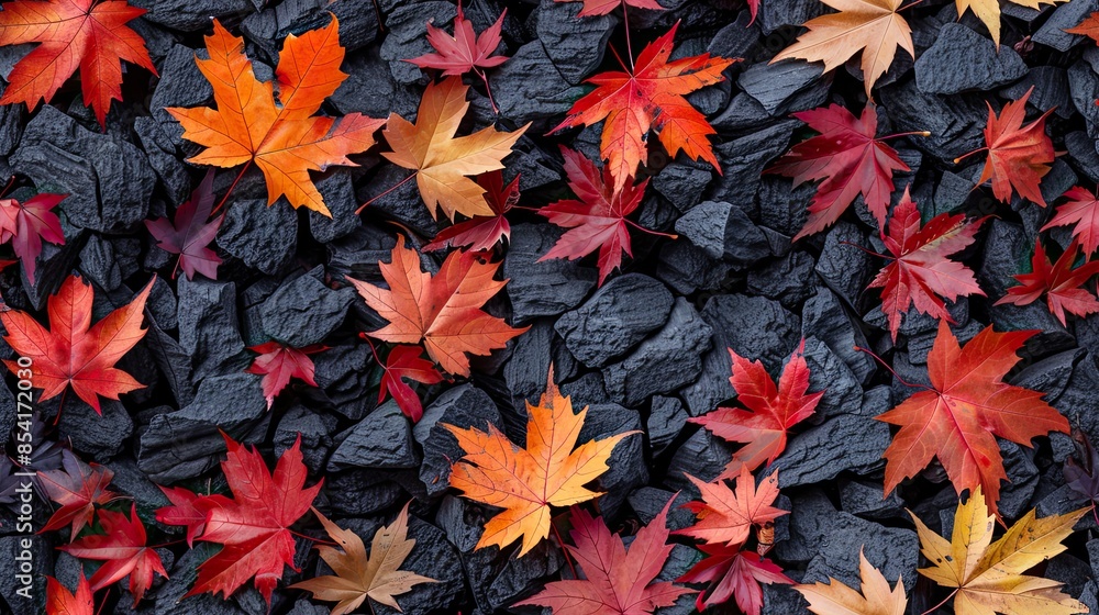 Colorful autumn maple leaves lying on black coal background Colorful autumn maple leaves lying on black coal background