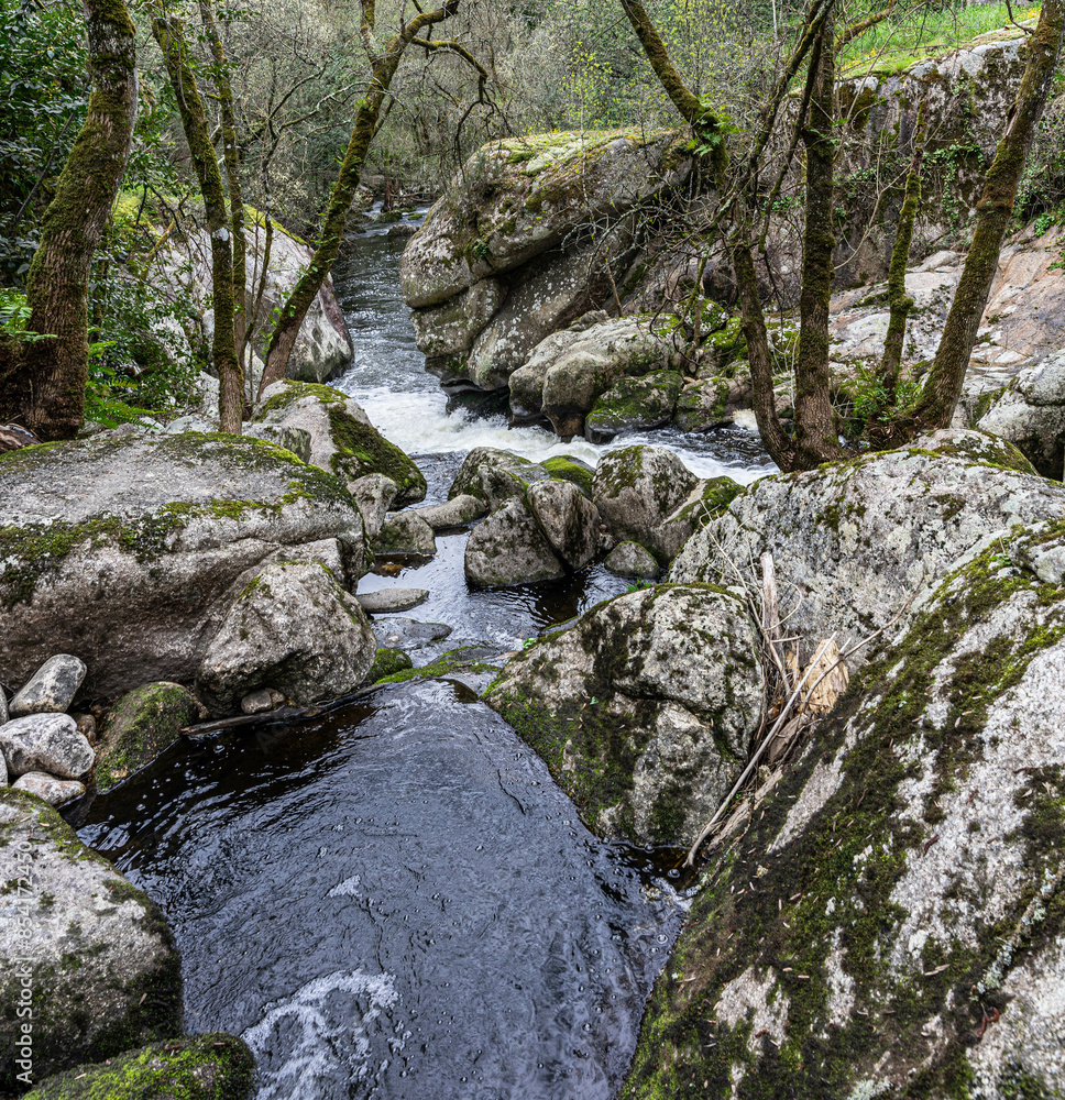 water from a mountain estuary that runs abruptly along a sandstone bed with moss due to eternal humidity water from a mountain estuary that runs abruptly along a sandstone bed with moss due to eternal humidity