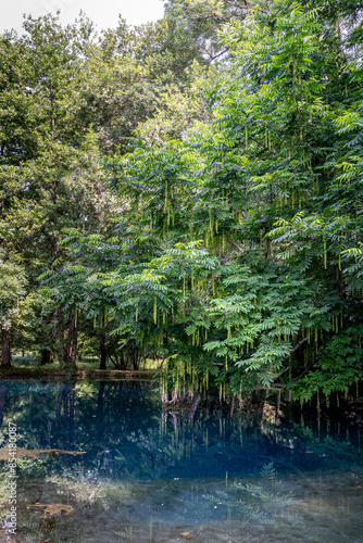 The blue fountains at Château de Beaulon - Saint Dizant du Gua; Charente maritime, France