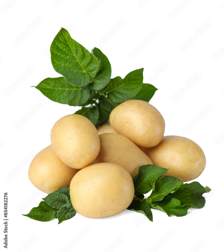 Fresh raw potatoes and green leaves isolated on white Fresh raw potatoes and green leaves isolated on white