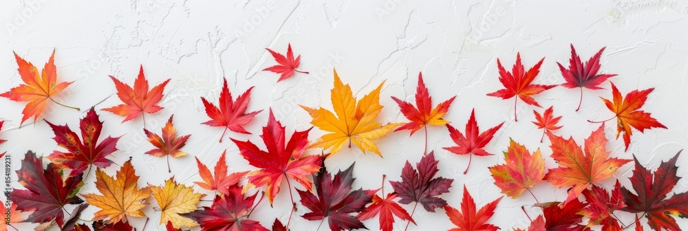 Vibrant Autumn Leaves on White Background for Fall Decor Generative AI Vibrant Autumn Leaves on White Background for Fall Decor Generative AI