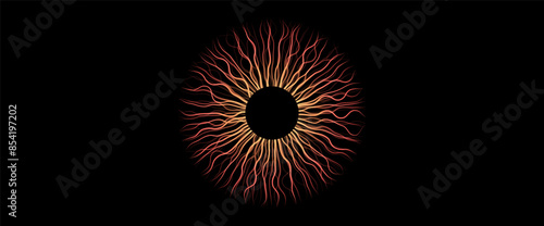 Human iris poster