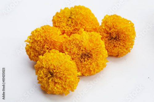 Beautiful golden yellow marigold flowers