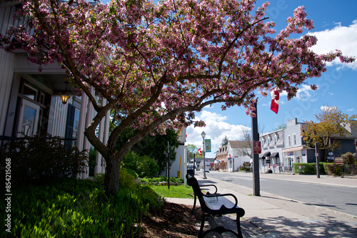 Main street in small town in Canada
