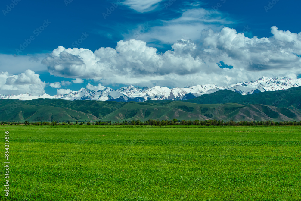 Fototapeta premium Summer green meadow and high snowy mountains in summer