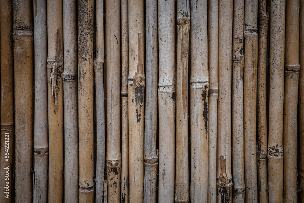 The backgrounds of bamboo trunks. The backgrounds of bamboo trunks.