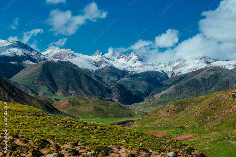 Fototapeta premium Picturesque mountain landscape with snow peaks in summer