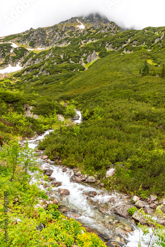 nature and Tatra mountains in Poland during the summer day