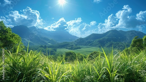 This idyllic landscape captures the stunning view of a lush green valley under a bright blue sky punctuated by fluffy clouds