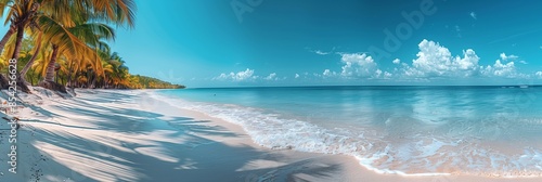 Tropical Beach with White Sand and Palm Trees Panorama