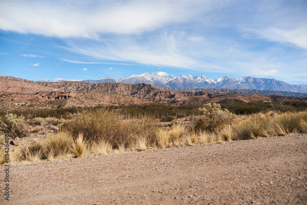On the side of a gravel road in Mendoza, Argentina, a landscape stretches out with the mountains of the Andes in the distance on the horizon. On the side of a gravel road in Mendoza, Argentina, a landscape stretches out with the mountains of the Andes in the distance on the horizon.