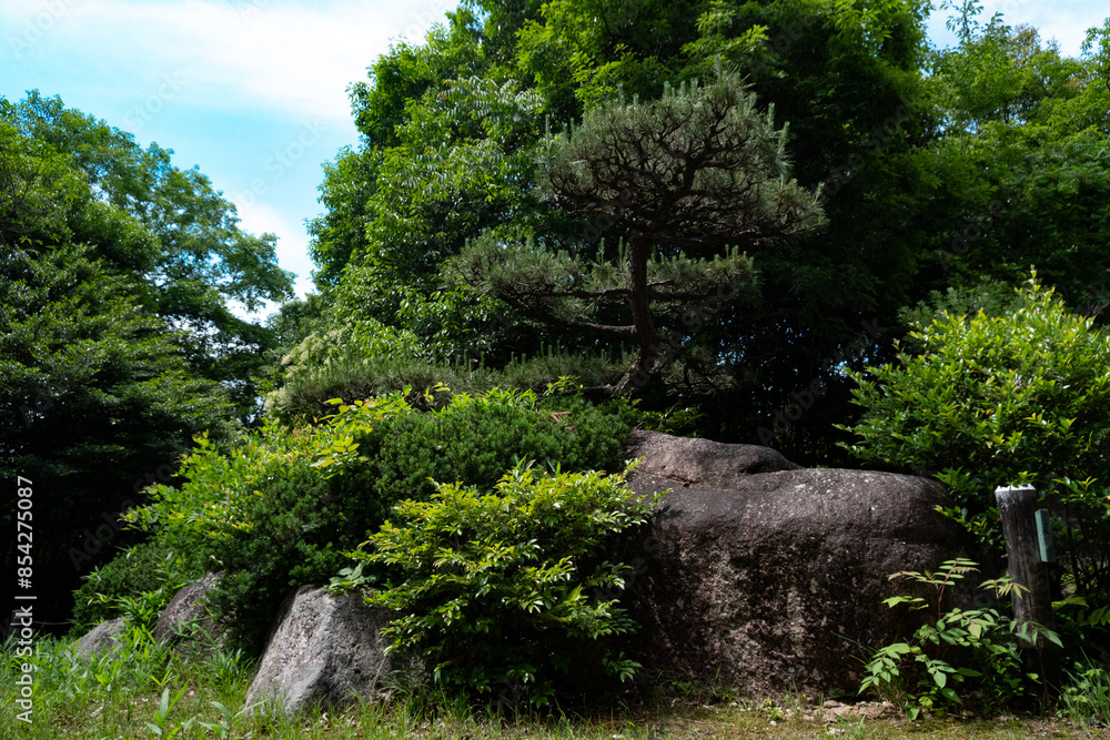 庭園の自然な景観に調和する岩と松
