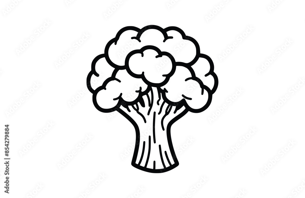 Broccoli black icon, isolated on white background. Vector illustration. Broccoli black icon, isolated on white background. Vector illustration.