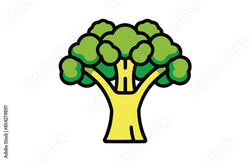 Broccoli color icon vector, isolated on white background. Beautiful broccoli icon.