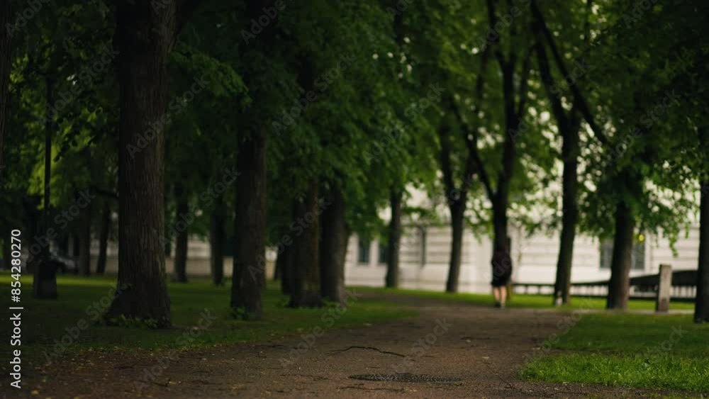 Walking down a serene park walkway shaded by lush green trees, in a tranquil environment, all captured in slow motion Walking down a serene park walkway shaded by lush green trees, in a tranquil environment, all captured in slow motion