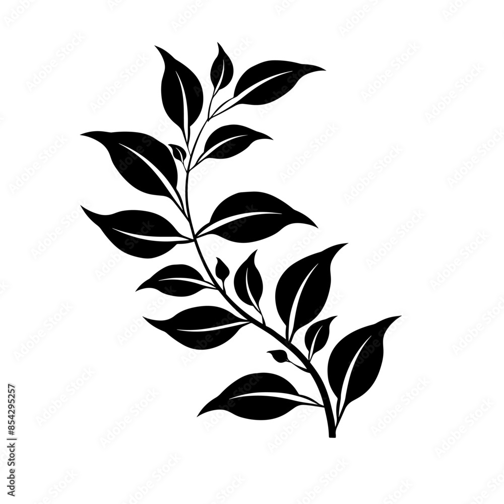 Fototapeta premium Vector Illustration of a Vine