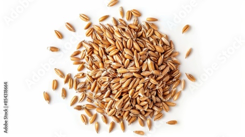 organic peeled spelt grains isolated on white background top view