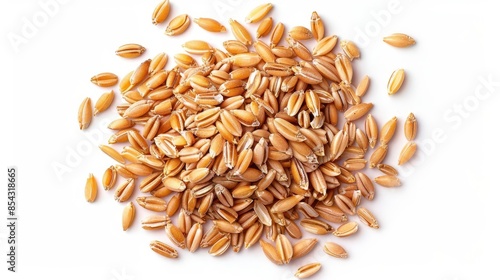 organic peeled spelt grains isolated on white background top view
