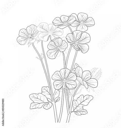 hemp flower branch vector illustration drawing white background
