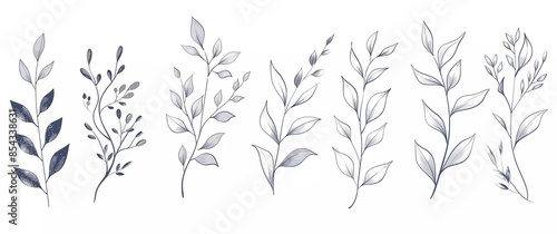 Vector hand drawn leaves and branches set in vector illustration style on white background, photo