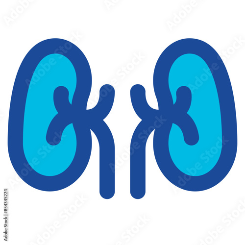 kidney icon