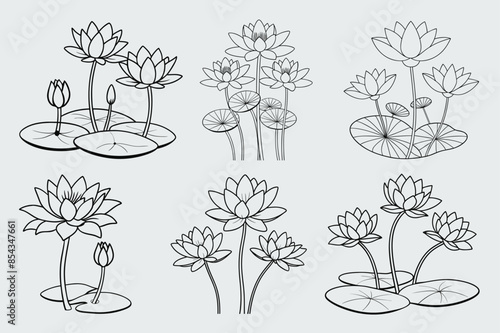 water lily outline vector set