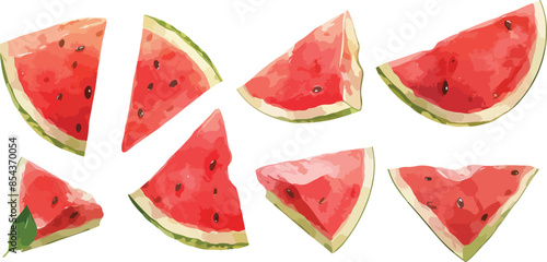 slice watermelon watercolor clipart	