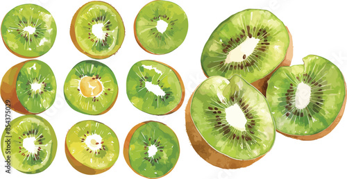 kiwi watercolor clipart	