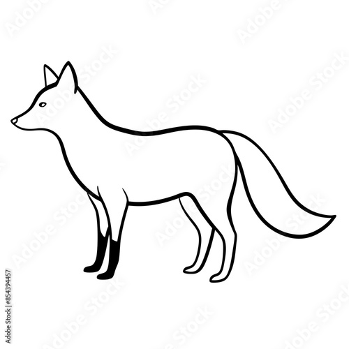 Vector illustration of a fox animal