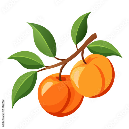 illustration of peaches on a branch