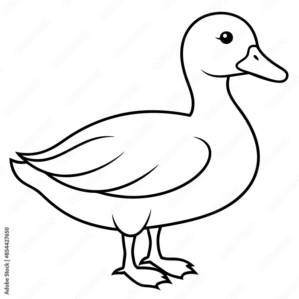 Vector illustration of a duck Vector illustration of a duck