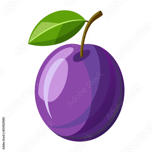 illustration of plum
