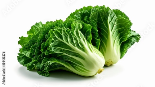 Fresh vibrant green leafy vegetable