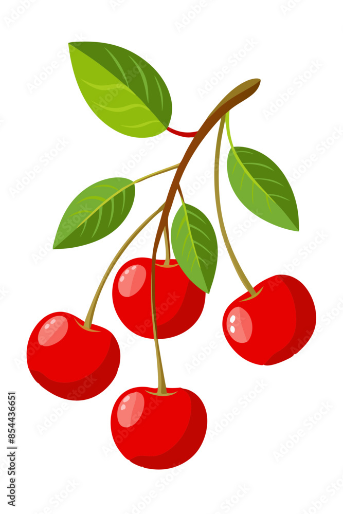 cherries on a branch cherries on a branch