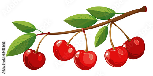 cherries on a branch
