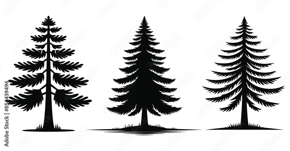 Set of Pine Tree silhouettes vector illustration Isolated on White Background Set of Pine Tree silhouettes vector illustration Isolated on White Background