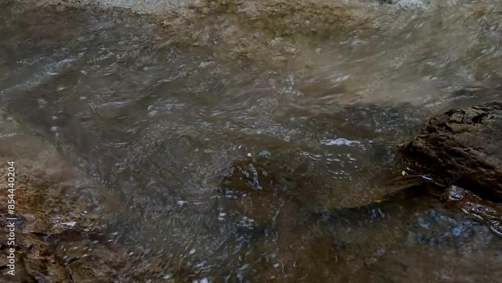 Clear stream flows through the boulders. Abundant river water flows over the rock base. Clear stream flows through the boulders. Abundant river water flows over the rock base.
