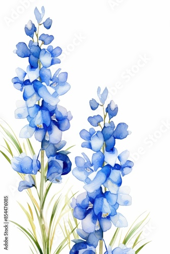 delphinium themed frame or border for photos .with tall spikes of blue flowers.watercolor illustration, white color background. 
