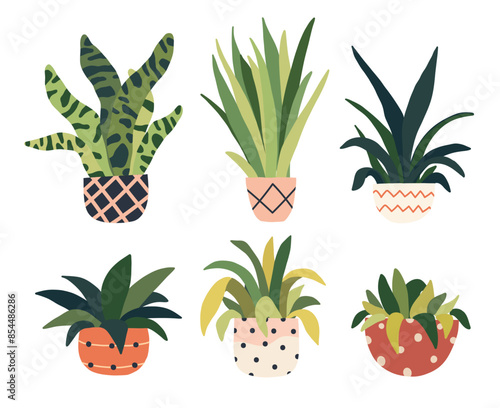 Set of succulent house plant pot. Home interior tropical flowerpot. Indoor desert houseplant. Home office garden snake plant. Vector illustration in flat style
