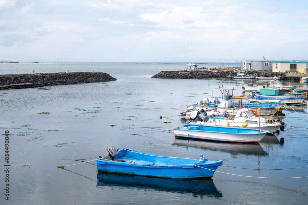 Fototapeta premium 제주도,휴가,풍경,평화로움,올레길