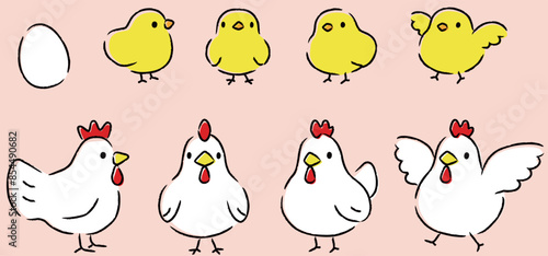 シンプルでかわいい鶏とひよこのイラストセット